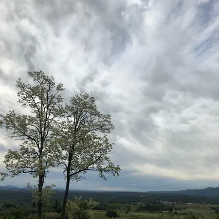 Bocage Saint Roman * La Motte (Var)